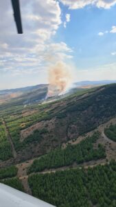 DENİZLİ (AA) – Denizli'nin Çivril ilçesinde çıkan orman yangınına havadan