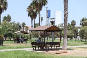 ADANA (AA) – Adana, Mersin, Hatay ve Osmaniye'de yüksek nem