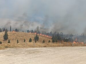 EDİRNE (AA) – Edirne'nin Keşan ilçesinde çıkan anız yangını söndürüldü.