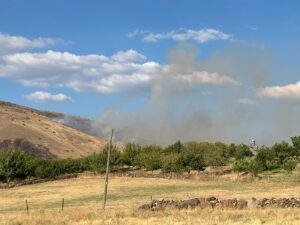ELAZIĞ (AA) – Elazığ'ın Karakoçan ilçesinde otluk alanda çıkan yangına