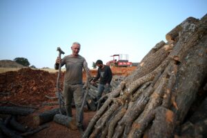 KAYSERİ (AA) – MÜZAHİM ZAHİD TÜZÜN – Diyarbakır ve Mardin'den