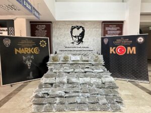 EDİRNE (AA) – Hamzabeyli Sınır Kapısı'nda bir tırda 266 kilo