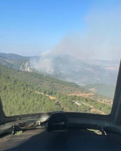 İZMİR (AA) – İzmir'in Bergama ilçesinde ormanlık alanda çıkan yangına