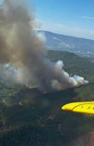 İZMİR (AA) – İzmir'in Bergama ilçesinde ormanlık alanda çıkan yangına