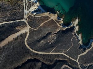 İZMİR (AA) – İzmir Valisi Süleyman Elban, Çeşme ilçesinde ormanlık