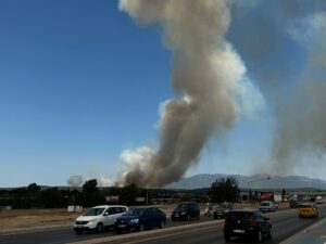 İZMİR (AA) – İzmir'in Gaziemir ilçesinde çıkan orman yangını nedeniyle