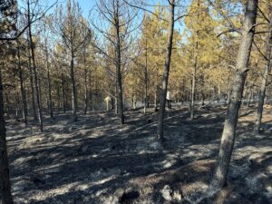 YANGININ KONTROL ALTINA ALINMASI EKLENDİ