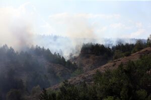 KASTAMONU (AA) – Kastamonu'da ormanlık alanda çıkan yangına ekipler karadan