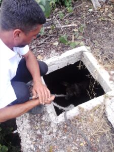 KASTAMONU (AA) – Kastamonu'nun Azdavay ilçesinde kullanılmayan boş su deposuna