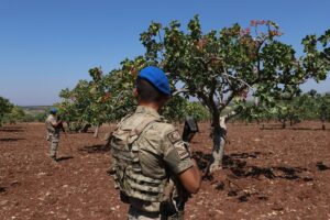 KİLİS (AA) – Kilis'te jandarma ekipleri, hasat zamanı yaklaşan fıstıkta,