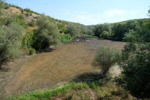 Bölgedeki besiciler, hayvanlarını su ihtiyacını karşılamak üzere Kayalıköy Barajı'na götürüyor