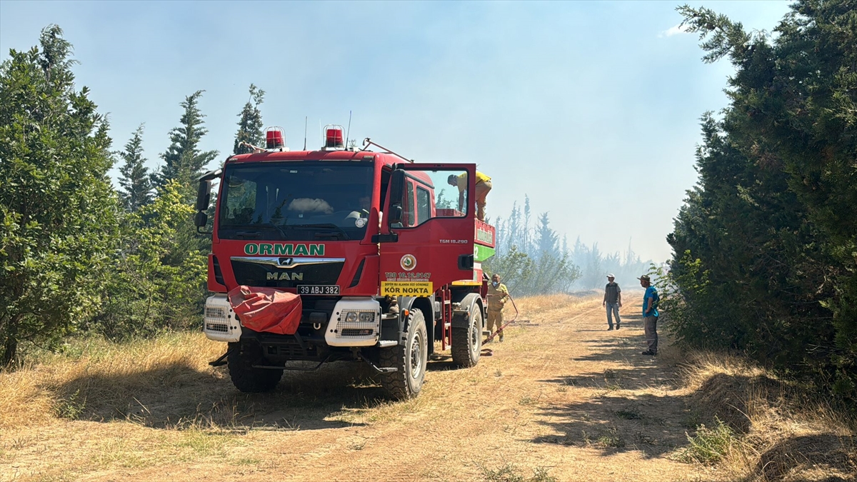 Kırklareli'nde korulukta çıkan yangına müdahale ediliyor