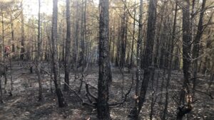 YANGININ KONTROL ALTINA ALINDIĞI BİLGİSİ EKLENDİ