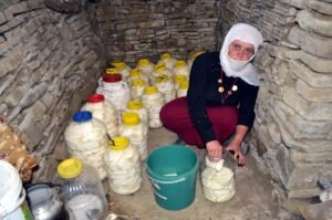 MUŞ (AA) – Muş'ta havaların ısınmasıyla sürülerini yaylalara çıkaran kadınların