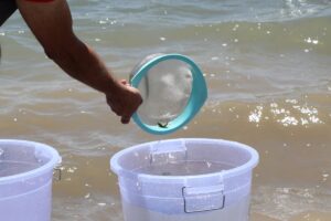 NİĞDE (AA) – Niğde'de, Tarım ve Orman Bakanlığı Balıkçılık ve