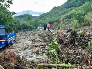ORDU (AA) – Ordu'nun İkizce ilçesinde bazı bölgelerde heyelana yol