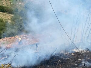 OSMANİYE (AA) – Osmaniye’nin Kadirli ilçesinde ormanlık alanda çıkan yangın,