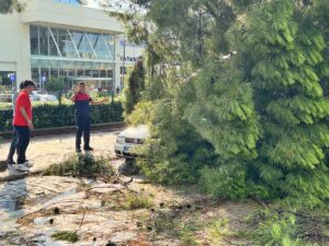 - Rüzgar nedeniyle 5 katlı iş merkezinin çatısının uçması kamerayla