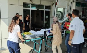 SAKARYA (AA) – Sakarya'nın Sapanca ilçesinde bir bungalova ait havuza