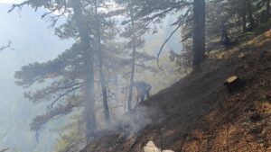 SAMSUN (AA) – Samsun'un Yakakent ilçesinde ormanlık alanda çıkan yangın,