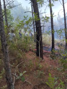 SİNOP (AA) – Sinop'un Dikmen ilçesinde ormanlık alanda çıkan yangın