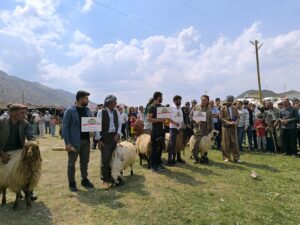 ŞIRNAK (AA) – Şırnak'ın Beytüşşebap ilçesinde düzenlenen "Geleneksel Kuzu Kırpma
