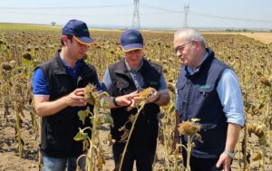 İSTANBUL (AA) – TARSİM heyeti Edirne'de saha ziyareti gerçekleştirdi. Şirketten