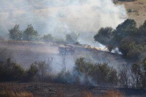 TEKİRDAĞ (AA) – Tekirdağ'ın Süleymanpaşa ilçesinde çıkan anız yangını itfaiye
