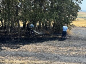 TEKİRDAĞ (AA) – Tekirdağ'ın Süleymanpaşa ilçesinde çıkan anız yangını, itfaiye