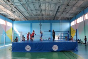 ÇANKIRI (AA) – Üst Minik Erkekler ve Kadınlar Boks Milli