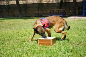 - Batman İl Jandarma Komutanlığı bünyesinde zorlu eğitimlerle göreve hazırlanan