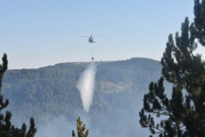 AFYONKARAHİSAR (AA) – Afyonkarahisar'ın Sinanpaşa ilçesinde ormanlık alanda çıkan yangın