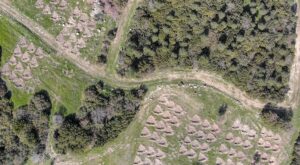 İZMİR (AA) – HALİL FİDAN – SULTAN UTKU – İzmir'de