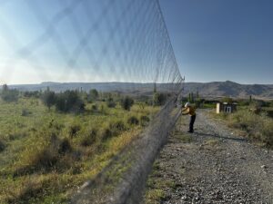 IĞDIR (AA) – HÜSEYİN YILDIZ – Iğdır'daki Aras Kuş Araştırma