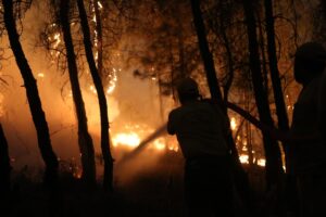AYDIN (AA) – Aydın'ın Bozdoğan ilçesindeki orman yangınına havadan ve