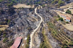 AYDIN (AA) – Aydın'ın Bozdoğan ilçesinde devam eden orman yangınında