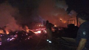 - İş yerinin bahçesindeki 5 küçükbaş hayvan ile yaklaşık 20