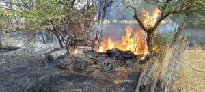 - Söndürme çalışmasına katılan köylülerden bazılarını arılar soktu