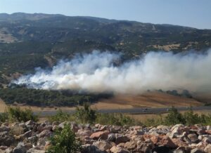 BİNGÖL (AA) – Bingöl'de 2 bölgede çıkan orman ve örtü