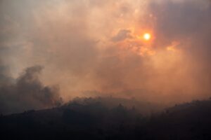 BOLU (AA) – Ankara'nın Kızılcahamam ilçesinde otluk alanda başlayarak Bolu'nun