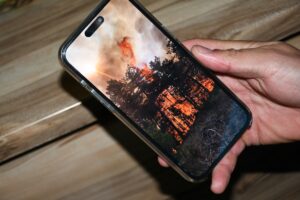 BOLU (AA) – Bolu'nun Göynük ilçesinde kontrol altına alınan orman