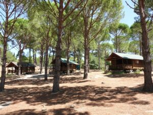 BALIKESİR (AA) – HAKAN FİRİK – Balıkesir'in Havran ilçesinde çadır