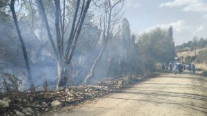 BURDUR (AA) – Burdur'un Tefenni ilçesinde otluk alanda çıkan yangın,