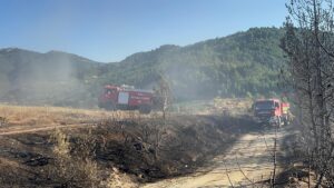 BURSA (AA) – Bursa'nın Orhaneli ilçesinde arazide başlayıp ormanlık alana