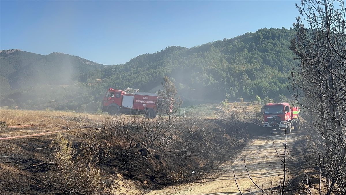 Bursa'da çıkan orman yangını ekiplerin erken müdahalesiyle kontrol altına alındı
