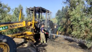 BURSA (AA) – Bursa'nın Orhangazi ilçesinde iş makinesinden zeytinliğe sıçrayan