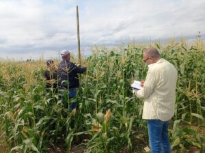 ÇANKIRI (AA) – Çankırı Karatekin Üniversitesi (ÇAKÜ), bölgede yeni tarım