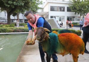 DENİZLİ (AA) – Birleşmiş Milletler Eğitim, Bilim ve Kültür Örgütünün