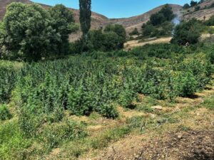 DİYARBAKIR (AA) – Diyarbakır'ın Lice ilçesinde düzenlenen operasyonda, 2 milyon