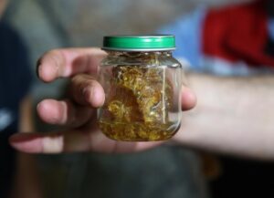 RİZE (AA) – Rize'nin İkizdere ilçesine bağlı Anzer köyünde, Hacettepe